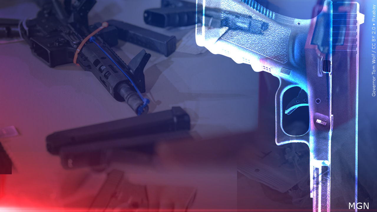 Judge Bars Enforcement of Delaware 'Ghost Gun' Restrictions